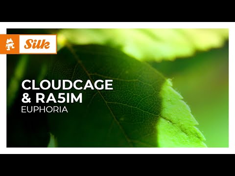 Cloudcage & Ra5im - Euphoria [Monstercat Release]