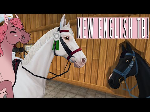 Star Stable Online Update - NEW ETBS!!!!