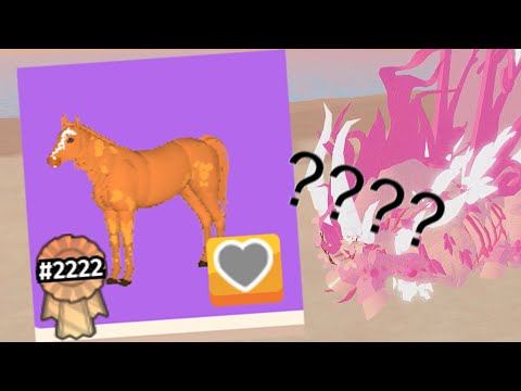 What do the numbers and ribbons mean? Horse Life ROBLOX // SakuraStallion