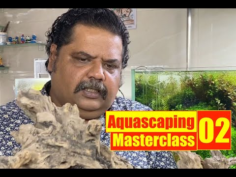 Mayur Dev Shares His BEST Aquascaping Tricks For Stunning Aquascapes, Aquascaping MasterClass 02