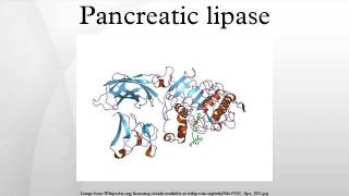 Pancreatic lipase