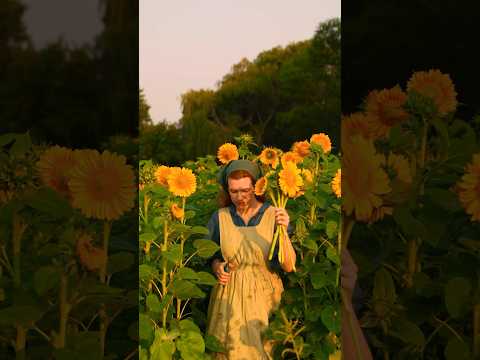 Cutting sunflowers at sunrise in the Iowa countryside 🌻☀️ #cottagecore #asmr #countrylife