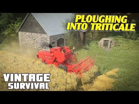 PLOUGING INTO TRITICALE - Vintage Survival Farming Simulator 22 | Episode 2