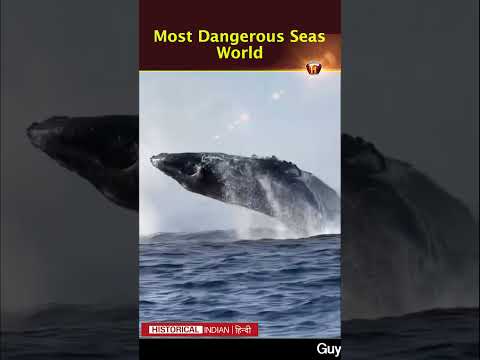 Why the North Sea is One of the Most Dangerous Seas in the World | Historical Indian Hindi #shorts