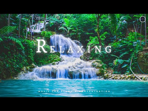 Relaxing Jungle Music and Animated Nature Scenes |Music For Study & Concentration |#music #relaxing