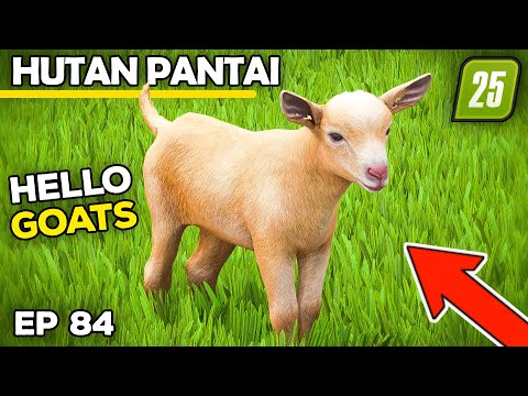 INTRODUCING THE GOATS! | Farming Simulator 25 - Hutan Pantai | Episode 84