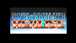 Sota,Primate-Realise