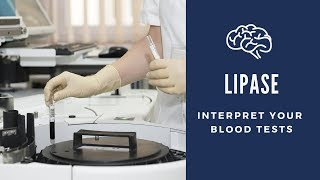 What is Lipase Test: It's Normal Range & Levels in Pancreatitis