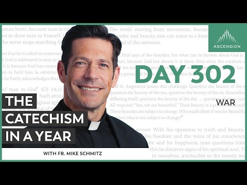 Day 302: War — The Catechism in a Year (with Fr. Mike Schmitz)