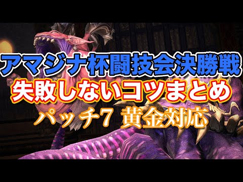 【FF14黄金】アマジナ杯闘技会決勝戦失敗しないコツまとめ【サクッと復習予習! 討滅ルーレット パッチ7】