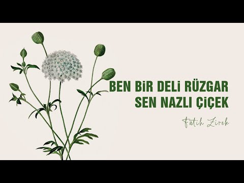 Ben Bir Deli Rüzgar Sen Nazlı Çiçek - Fatih Zirek