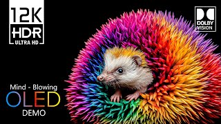 Amazing Vibrant World 12K HDR Video ULTRA HD 120 fps Dolby Vision