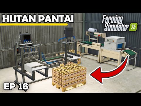 DIVERSIFYING INTO KIMCHI PRODUCTION | Farming Simulator 25 - Hutan Pantai | Episode 16