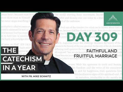 Day 309: Faithful and Fruitful Marriage — The Catechism in a Year (with Fr. Mike Schmitz)