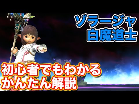 【FF14黄金】ゾラージャを白魔道士(ヒーラー)で挑戦【黄金討滅戦 パッチ7】