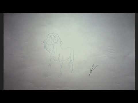 Never Before Seen Spirit Stallion of the Cimarron Animation (unfinished) (Len Simons)