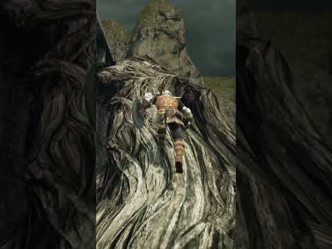 Dark Souls 2 Secrets (#1) #darksouls #darksouls2 #SOTFS #shorts