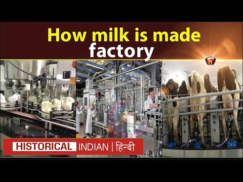 How milk is made in a factory in Hindi | Historical Indian Hindi