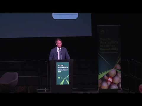 Giles Dunseath-Hamilton, Director Strategy, Department for Energy and Mining