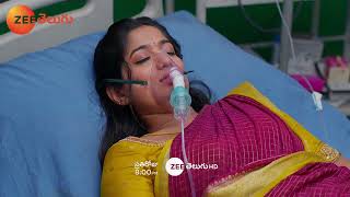 Padamati Sandhya Ragam Promo - 12 Mar 2025 - Everyday at 8:00 PM - Zee Telugu