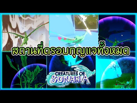 หา key ทั้งหมด กิจกรรม Lore Event │roblox Creatures of Sonaria ไทย